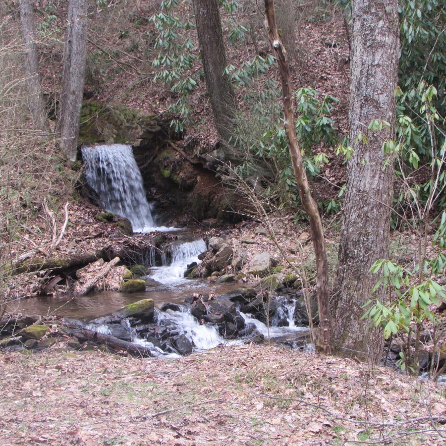 Red Leaf River Inn Waynesville Buitenkant foto