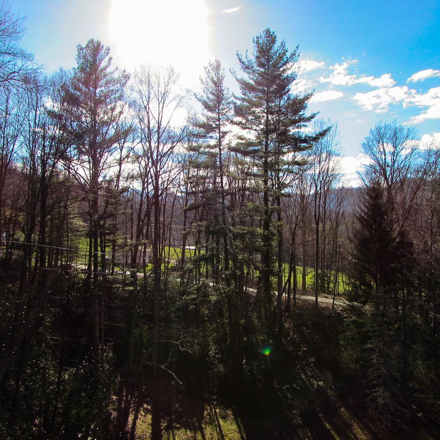 Red Leaf River Inn Waynesville Buitenkant foto