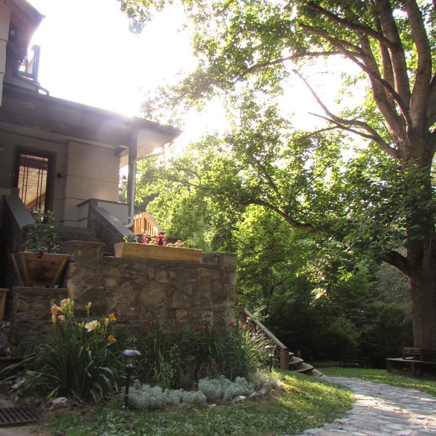 Red Leaf River Inn Waynesville Buitenkant foto